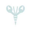 OpenClaw
